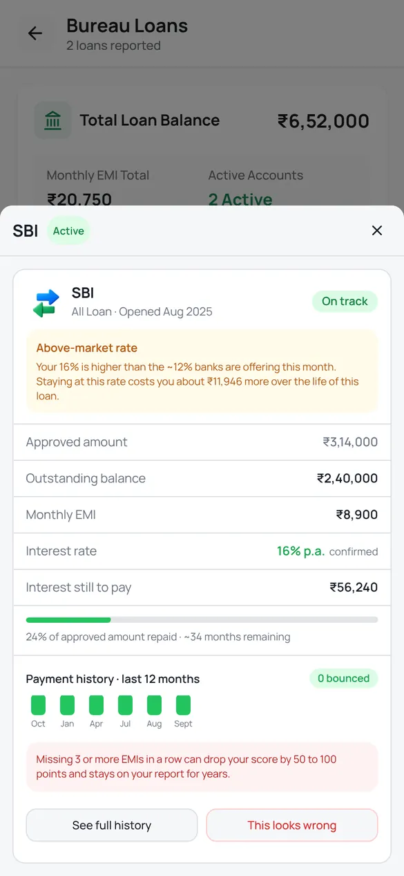 Loan detail sheet flagging an above-market interest rate with the extra cost, outstanding balance and payment history